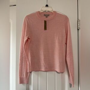 NWT J. Crew 100% Merino Wool sweater